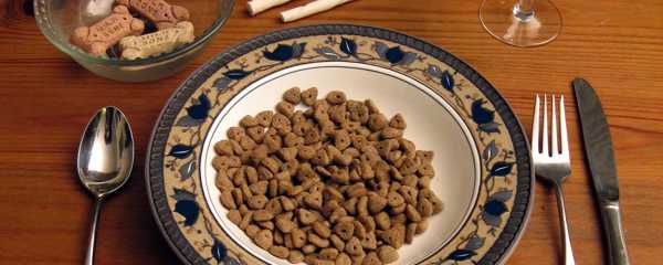 dog-food.jpg