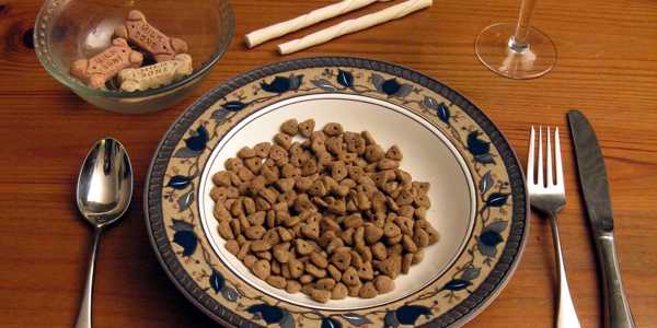 Eat your own dogfood (thebeaglecorner.com)